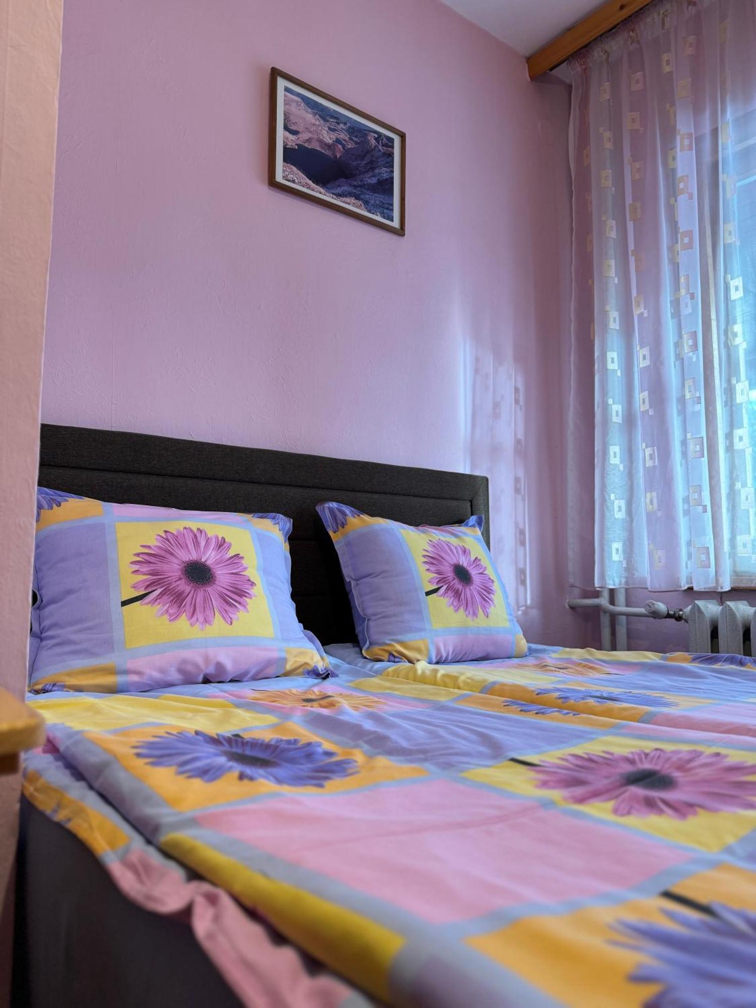 Mama Emiliya Guest House Beli Iszkar Kültér fotó