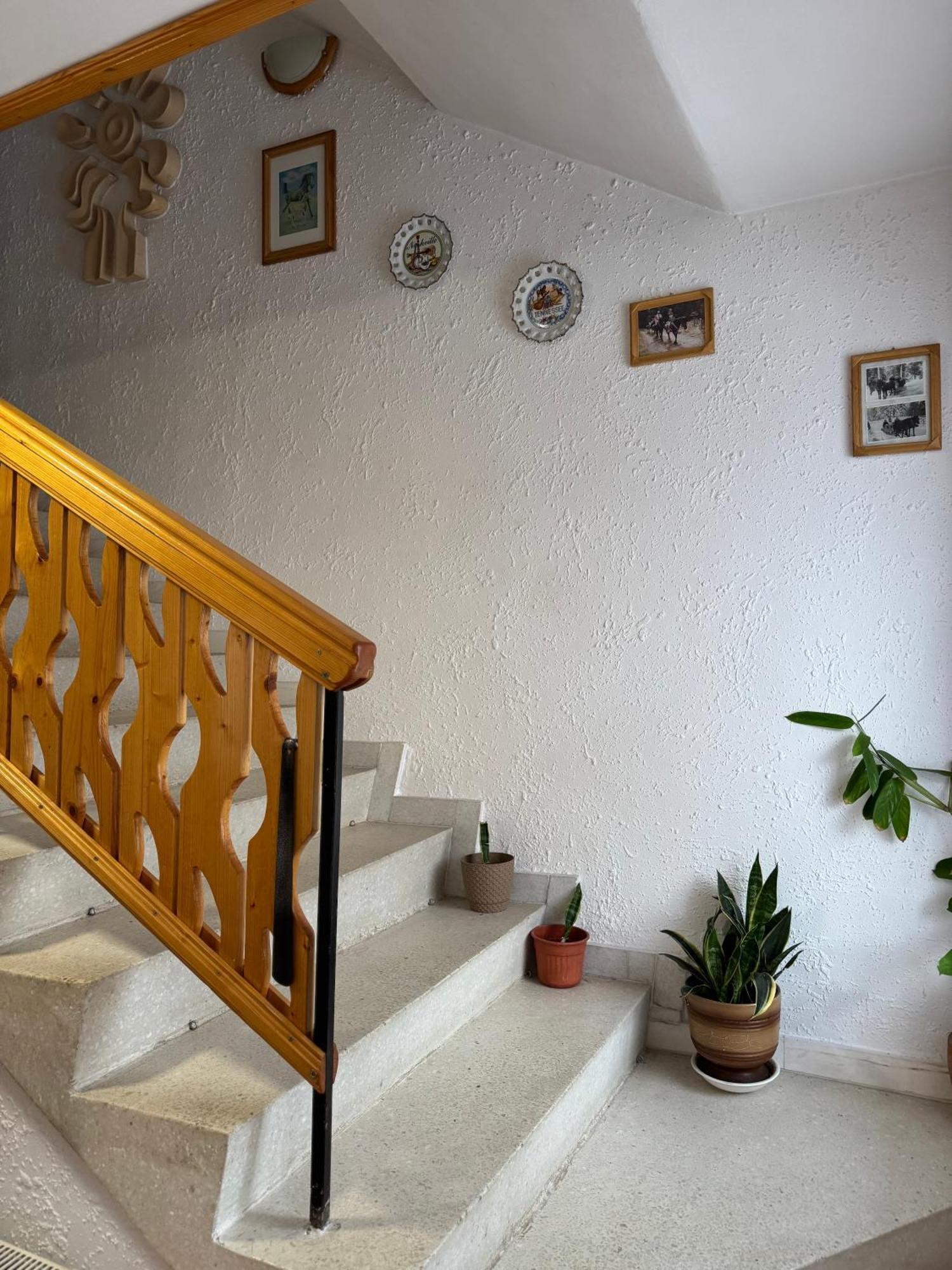 Mama Emiliya Guest House Beli Iszkar Kültér fotó